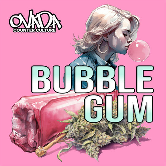 Bubble Gum