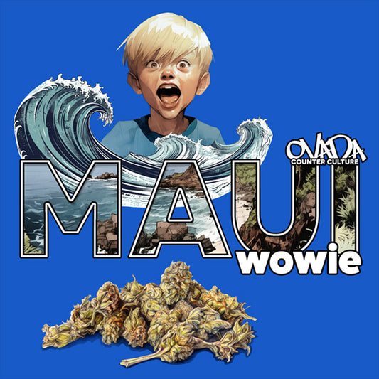 Maui Wowie